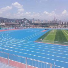 東營鑫威 預(yù)制型塑膠跑道 預(yù)制橡膠跑道 橡膠塑膠跑道