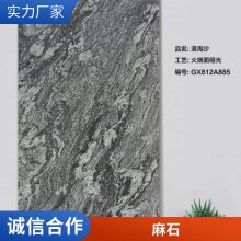 广场砖 200mm*200mm 户外地砖 陶瓷 防滑 屋面砖 全瓷砖 耐磨砖