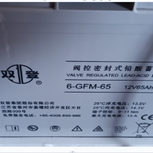 ˫ ܷʽǦά 6-GFM-65C20