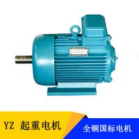 ľ˹YZ160L-6-11KW 611ǧߵ綯 ұ첽