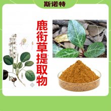 鹿衔草提取物 斯诺特生物 压片糖果原料 喷雾干燥水提工艺