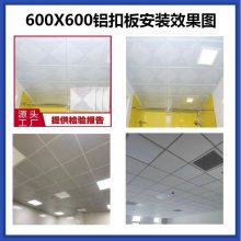 ۰ ѧУȵ600*600Խ컨 100