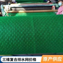 三维复合排水网 长丝HDPE垃圾填埋场过滤网 边坡导流土工网 可定制