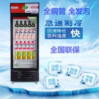 啤酒展示柜冷藏立式冰柜饮料保鲜单双门