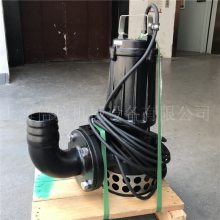 DN250南方水泵300WQ600-20-55潜污泵立式铸铁材质潜水泵