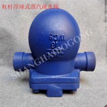 内螺纹杠杆浮球式蒸汽疏水阀 FT14H-25C DN20