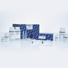 Qiagen 12943 Լ 25T