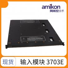 4210 ģ TRICON ģ TMRϵ