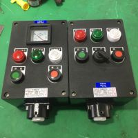 BZC8060-A2D1-