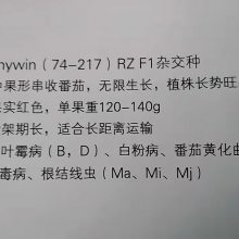 ˹ Ramywin(74-217) ʵɫ ***