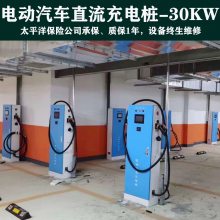 新能源充电设备 刷卡扫码单枪电动汽车30KW直流充电桩