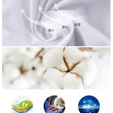 ҽԺŮͱҽʵҹҩ״
