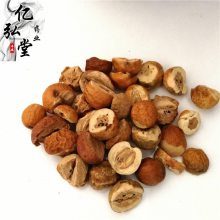川楝子用法用量/楝实功能主治/苦楝子药用价值