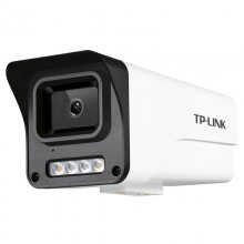TP-LINK TL-IPC534EP-W8 300Ƶ˫AIμͷ