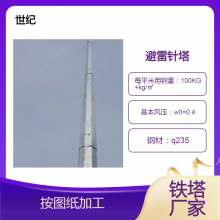 加工制造独立避雷针塔 三角四角结构 世纪生产安装公司