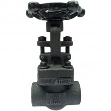 Z61H-300LB ܷ͸բ բ A105բ Z61H