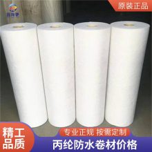 聚乙烯丙纶防水卷材 海驰防水 涤纶高分子复合卷材 300g400克 TS丙纶布SBC