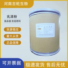 乳清粉 食品级营养强化剂 面包蓬松 食品烘焙营养强化剂