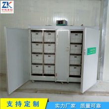 大型豆芽机生产设备 厂家现货出售型豆芽机设备 豆芽机生产线价格