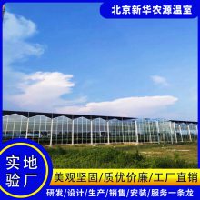 有机蔬菜标准化温室大棚 玻璃温室专业建设团队 文洛智能温室 连栋温室大棚