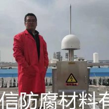固定式雷电预警系统 石油化工厂防雷监测装置