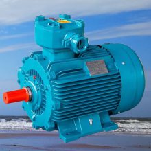 ÷͵YBK3-200L2-2 37KW