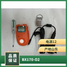 山能供应BX17(LCD) 便携式单一气体一氧化碳探测器