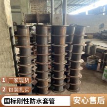  ˮظԷˮ׹DN100 02S404 Էˮ׹DN200