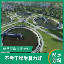 南京高分子聚合物防腐防水涂料规格