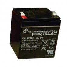 GS.PORTALACPE12V4.5 12V4.5AHϵͳ Ǳ