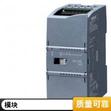 -模块_6EP33440SB000AY0_正品保证，提供产品说明书