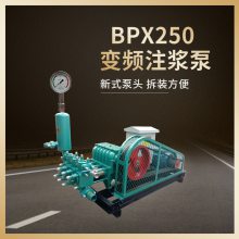 ͺBW250ཬĻע豸BW250עó