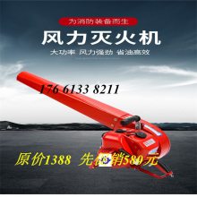 ĳͱʽﴵѩ ๦ܵ·ѩǮ