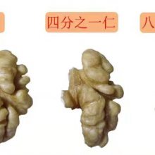 ںʼӹ 185׶· 決ԭ