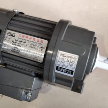 ZRG减速电机 ZHIBAO三相异步电动机 齿轮变速马达 YS0.1KW-4P ZL22B