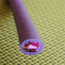 ECHU/׳(yng)CE ˜ʾ| LIYCY 5 X 0.5 MM2