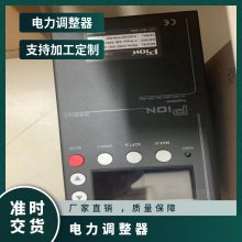 PION 汽车工业 石油化工 机械设备 玻璃熔化用 电力调整器D3W-050-00
