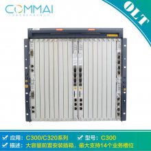  ZXA10 C300 19 OLTֶ豸 豸EPON GPON 