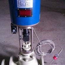 ZZWEP-16C ¶ȵڷ ¶ȵڷ ZZWEP DN200