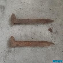 ɵ16cm𳵵ľ̶ֹʹããľ