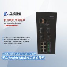 12ǧ׹ҵڷ-WISE3000B-2GS-4S-4T-4C-WR