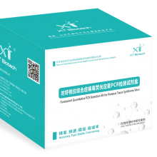 对虾桃拉综合症病毒荧光定量PCR检测试剂盒