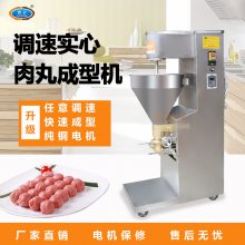 120型调速肉丸成型机 丸子成型机 肉圆成型机 牛肉丸成型机的价格 肉丸机的价格