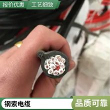 盛启 葫芦电缆带钢丝 RVV2G 12*1.0电动手柄起重设备用线缆