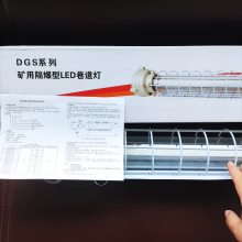 DJS系列矿用隔爆型巷道灯 井下用荧光灯管防爆灯 外观美观