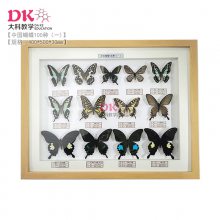 �й������걾100�� ���40*50cm 6��װ���ظ���Ʒ����� �����ģ�