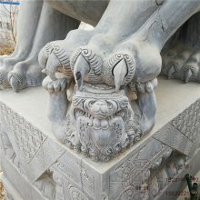 精品湖南汉白玉狮子 供应石雕石狮子 门口摆放石雕狮子
