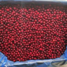 【果香丰】加拿大冷冻蔓越莓10kg散装 速冻水果果粒浆果