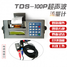 便携式超声波流量计TDS-100P带打印功能