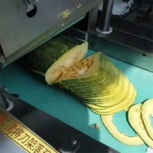 鱿鱼切丝机 猪皮牛皮切丝机 宏晨芥菜切丝切片机